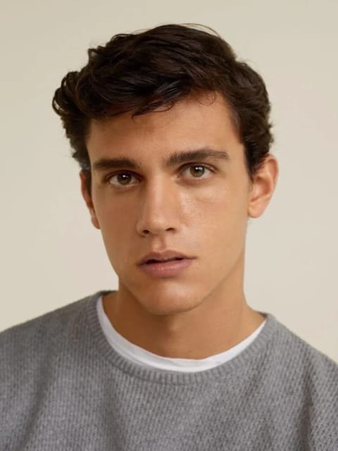 Portrait d'un homme aux épais cheveux brun foncé ondulés dans un pull gris tricoté. Modèle pour l'échange de visage d'image.