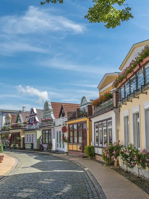 Maisons de ville allemandes historiques colorées bordant une rue pavée sous un ciel bleu vif. Modèle pour le filtre Stranger Things.
